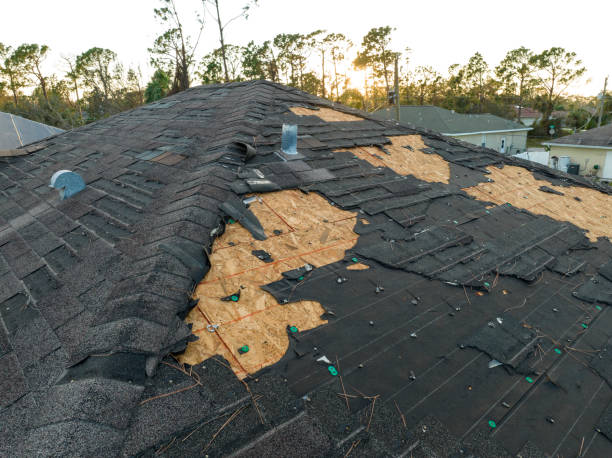 Best Rubber Roofing (EPDM, TPO)  in Nashville, MI